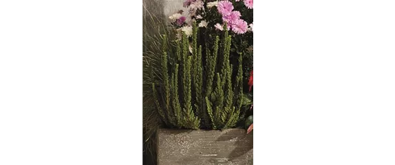 EIN KUNTERBUNTER HERBST!