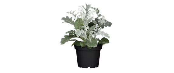 EIN KUNTERBUNTER HERBST!