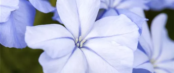 EIN KUNTERBUNTER HERBST!