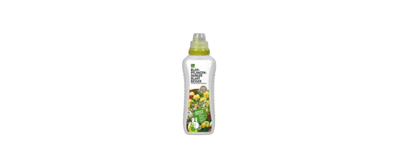 PFLANZE DES MONATS APRIL: DIPLADENIE