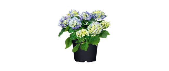 MODERNE ELEGANZ IM GARTEN!