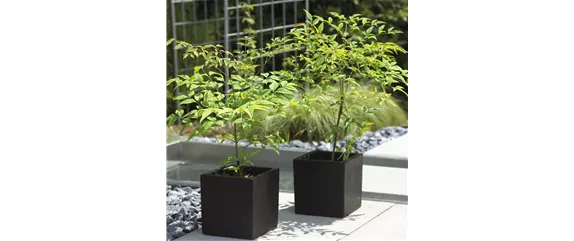 MODERNE ELEGANZ IM GARTEN!