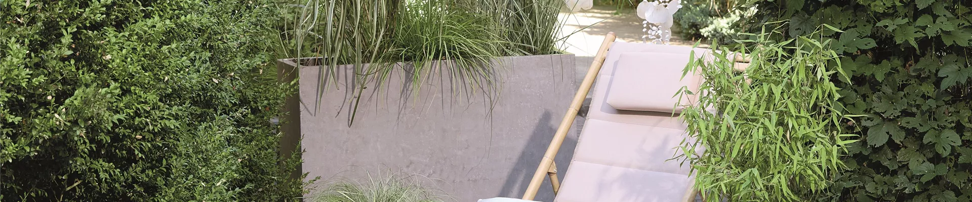 NATÜRLICH SCHÖN! GRÄSER FÜR EIN STILVOLLES GARTENAMBIENTE. 