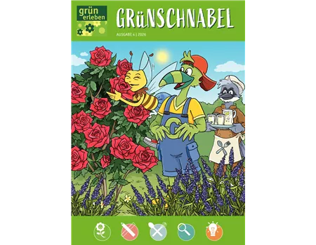 Ausgabe 4 2026